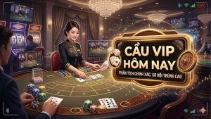 cau-vip-hom-nay